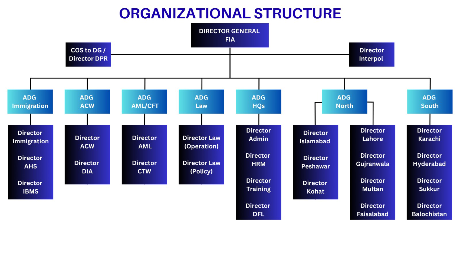 FIA Organization Structure